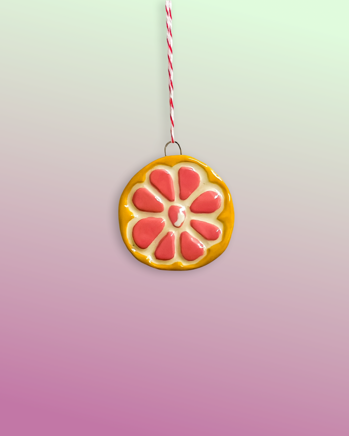 Grapefruit Wall Hanging