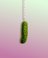 Pickle Wall Hanging