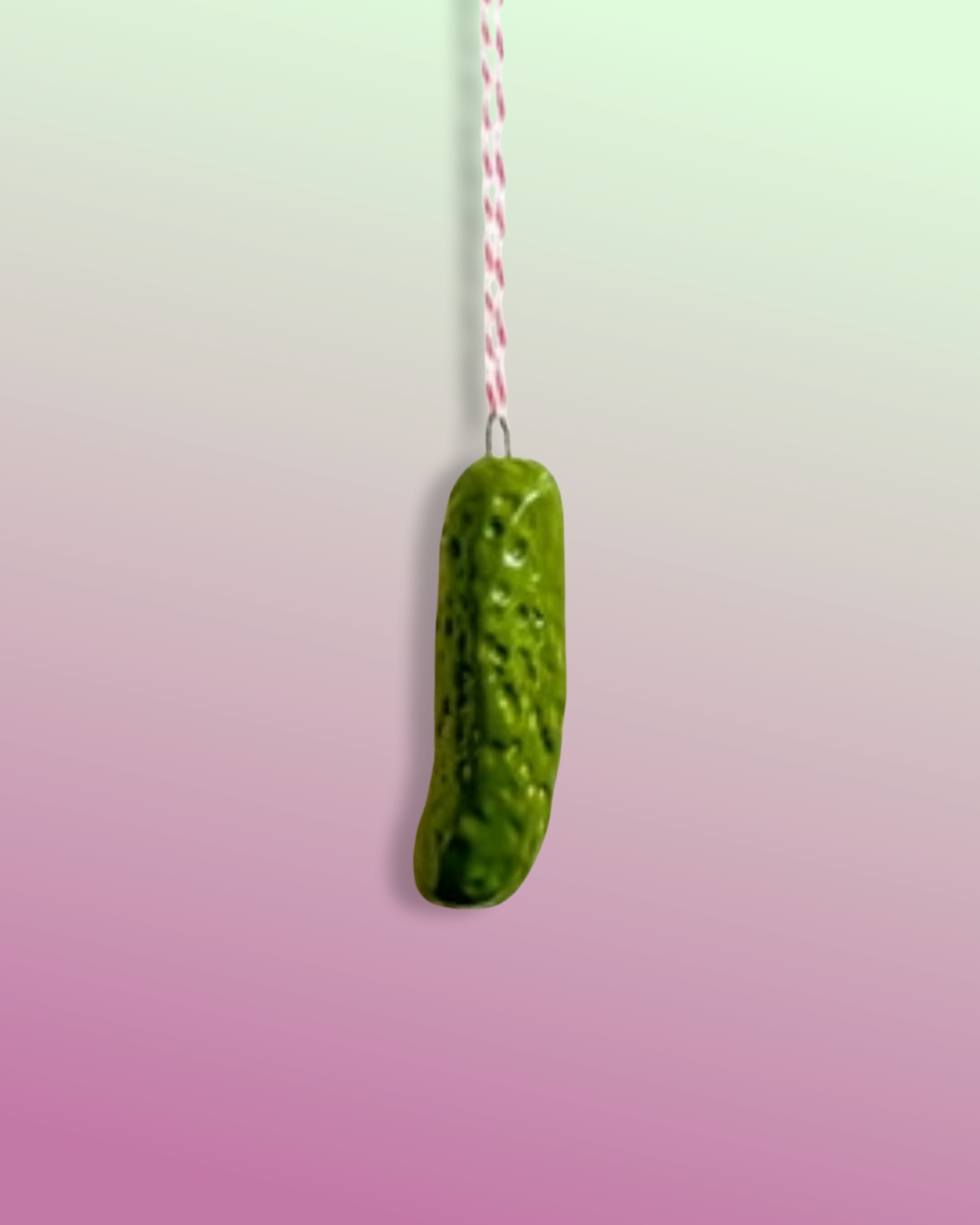 Pickle Wall Hanging