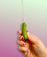 Pickle Wall Hanging