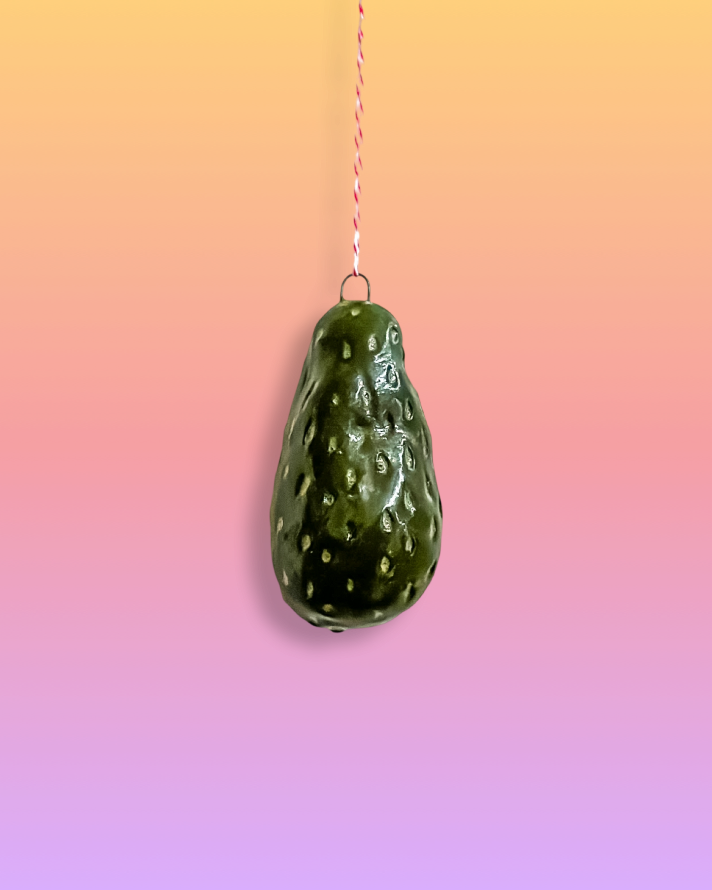 Avocado Wall Hanging