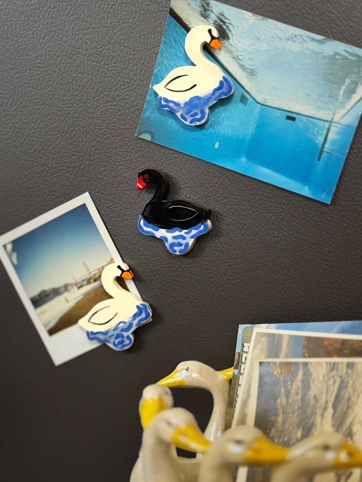 Swan Magnet