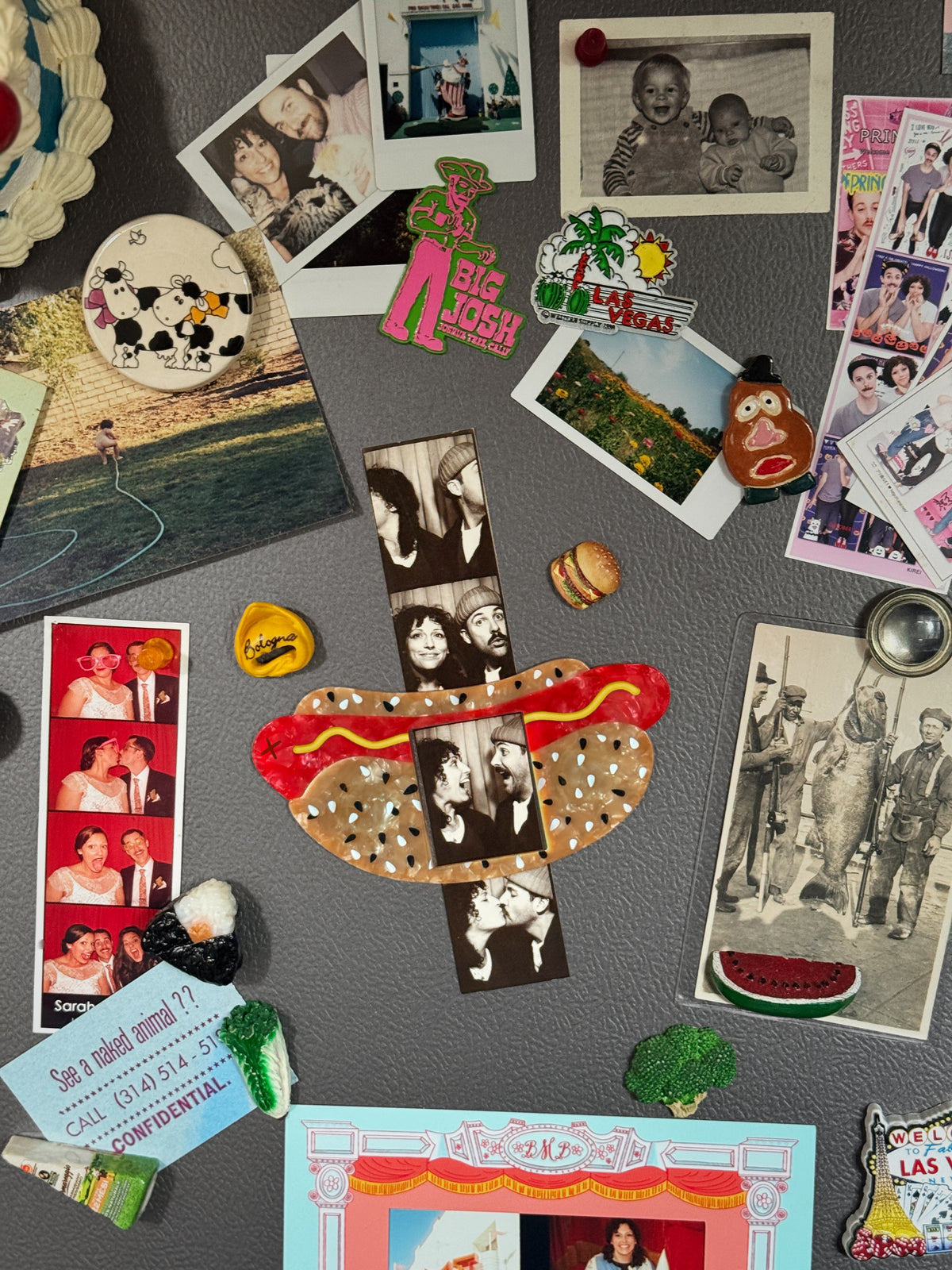 Hot Dog Magnetic Photo Frame