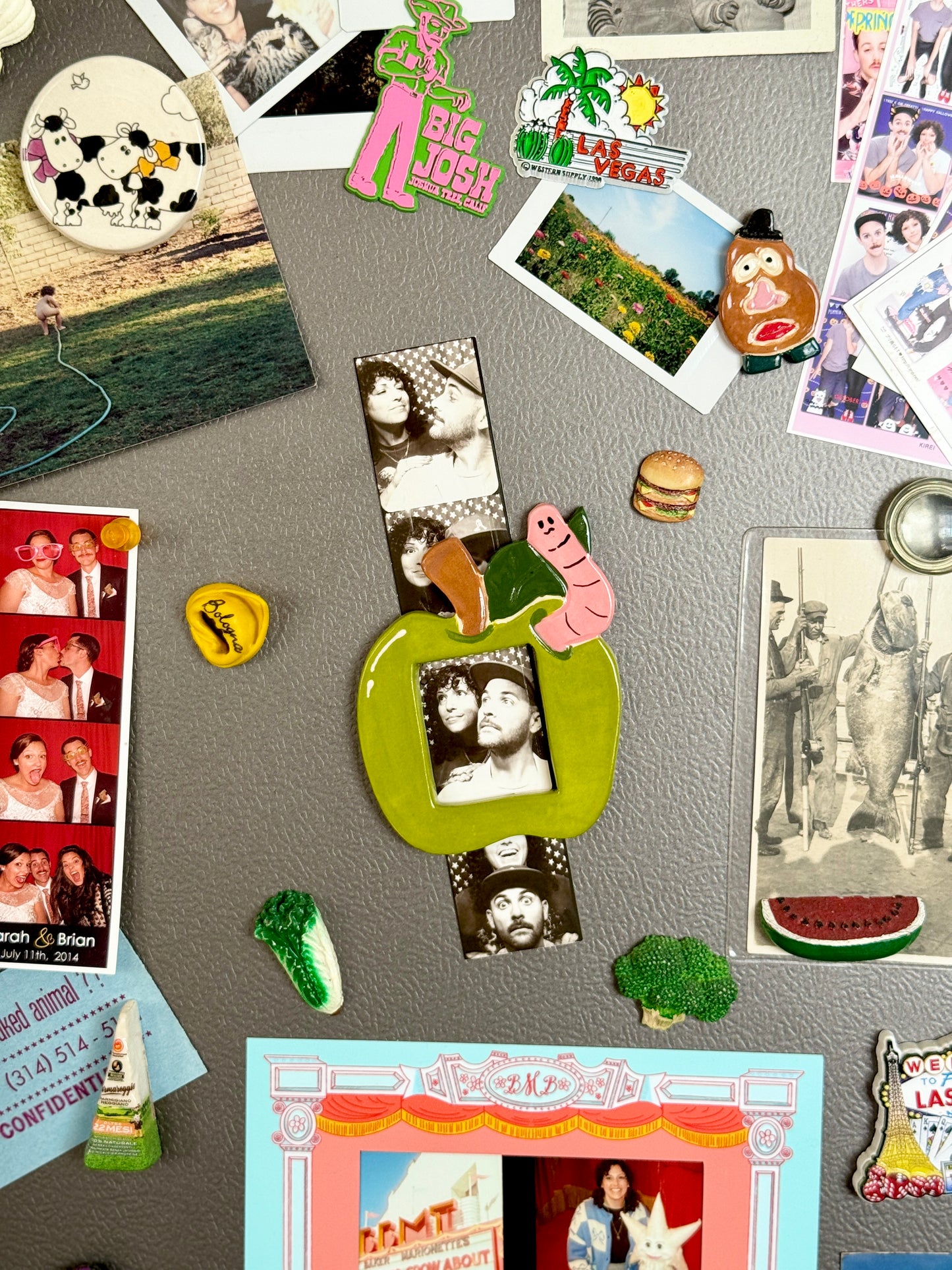 Wormy Apple Magnet Frame