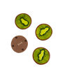 Kiwifruit Coasters