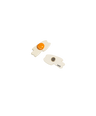 Egg Magnet
