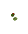Olive Magnet