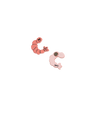 Shrimp Magnet