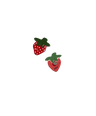 Strawberry Magnet