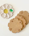 Daisy Palette
